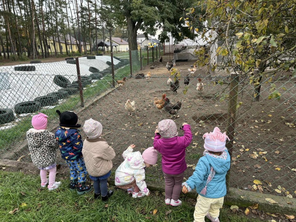 - messenger_creation_e683fe29-7634-4afe-b55a-365ed4609b46.jpeg - messenger_creation_e683fe29-7634-4afe-b55a-365ed4609b46.jpeg